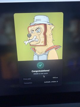A digital NFT purchase confirmation screen showing a cartoon dog wearing a bucket hat with a bone in its mouth, with a green checkmark and 'Congratulations!' message.