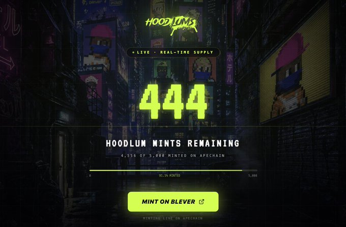 A minting webpage for 'Hoodlums' NFT collection showing 444 Hoodlum Mints Remaining, with 4,556 of 5,000 minted on Apechain (91.1% minted), featuring a 'MINT ON BLEVER' button.