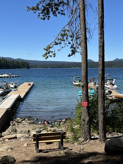 A scenic lakeside view featuring a wooden dock, boats with people on the water, mountains in the background, and a wooden bench in the foreground under tall pine trees on a sunny day.