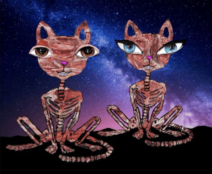 The image features two cat sculptures, one with a skeleton and the other without, sitting side by side against a backdrop of stars and a galaxy. The text "RAW MEAT fro the Love is Eternal collection 0.1 ETH This is from the first ever Hawa Cat collection. It'S the only time that Hawa Cat was a skeleton." suggests that this artwork might be inspired by the concept of love or the idea of transformation, as it combines elements of both a living creature and a lifeless one. The post also mentions an event in 202o when the artist created this piece, which could provide context to its origin or significance.