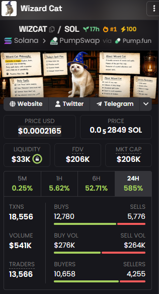 A cryptocurrency trading dashboard showing the Wizard Cat (WIZCAT/SOL) token on Solana via Pump.fun and PumpSwap, with a price of $0.0002165, market cap of $206K, and 585% 24-hour gain.