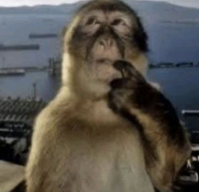 A monkey in a contemplative pose with its hand on its chin, appearing deep in thought against a coastal backdrop. The image humorously represents the post's question about how people earned their first crypto profits, with the monkey's pondering expression symbolizing the struggle of figuring out how to get started in web3.
