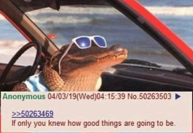 A humorous 4chan post features a photoshopped alligator wearing sunglasses behind the wheel of a red convertible, with text from Anonymous dated "04/03/19(Wed)04:15:39 No.50263503" replying to post "50263469" with the caption "If only you knew how good things are going to be," complementing the upbeat, optimistic sentiment tied to the bullish $NET and $PRM tickers.