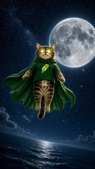 A whimsical digital artwork of a tabby cat with glowing yellow eyes wearing a green hoodie and cape, floating in front of a large full moon over an ocean at night.