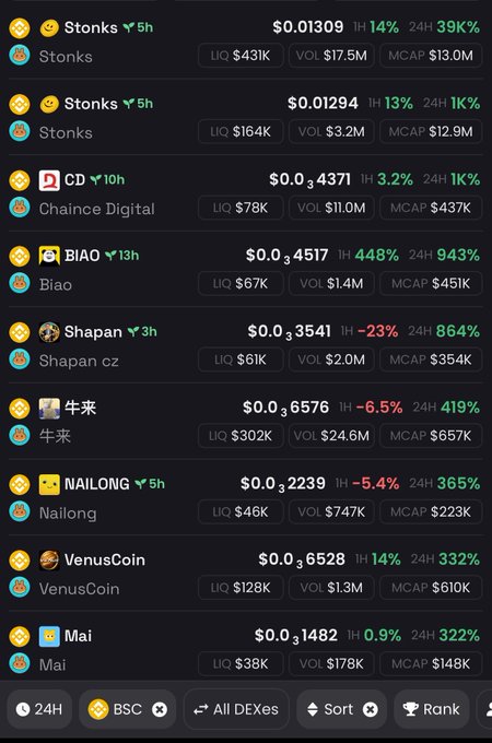 A cryptocurrency tracking interface displays various tokens including Stonks, Chaince Digital (CD), Biao, Shapan, 牛米, NAILONG, VenusCoin, and Mai, showing prices, 1H and 24H percentage changes, liquidity (LIQ), volume (VOL), and market cap (MCAP) on the BSC network.