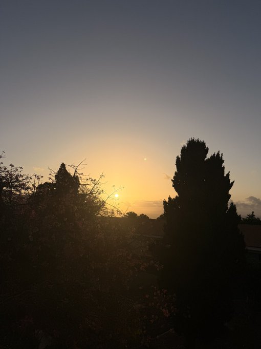 A serene sunset view with the sun low on the horizon, silhouetting trees and shrubs against a gradient orange and dark blue sky.