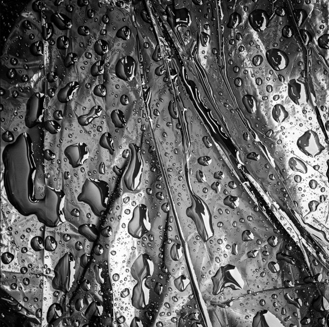 A close-up black and white photograph of water droplets of various sizes clinging to a textured leaf or surface.