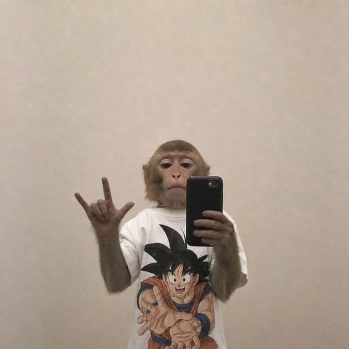 A monkey takes a mirror selfie while wearing a white t-shirt featuring the anime character Goku, making a hand gesture with its other hand.
