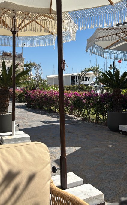 The image captures a serene vacation setting featuring a sunlit stone patio with a sun lounger and white fringed umbrellas, surrounded by vibrant pink bougainvillea and lush greenery. The peaceful outdoor ambiance suggests a relaxing break, aligning with the post's theme of casually checking in on daily $BASE transactions and NFT rewards even while enjoying leisure time away from home.