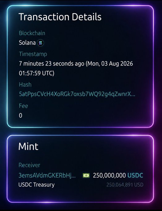 A blockchain transaction details screen showing a Solana transaction from 7 minutes 23 seconds ago on Mon, 03 Aug 2026 01:57:59 UTC, with a Mint to a USDC Treasury for 250,000,000 USDC valued at 250,064,891 USD.