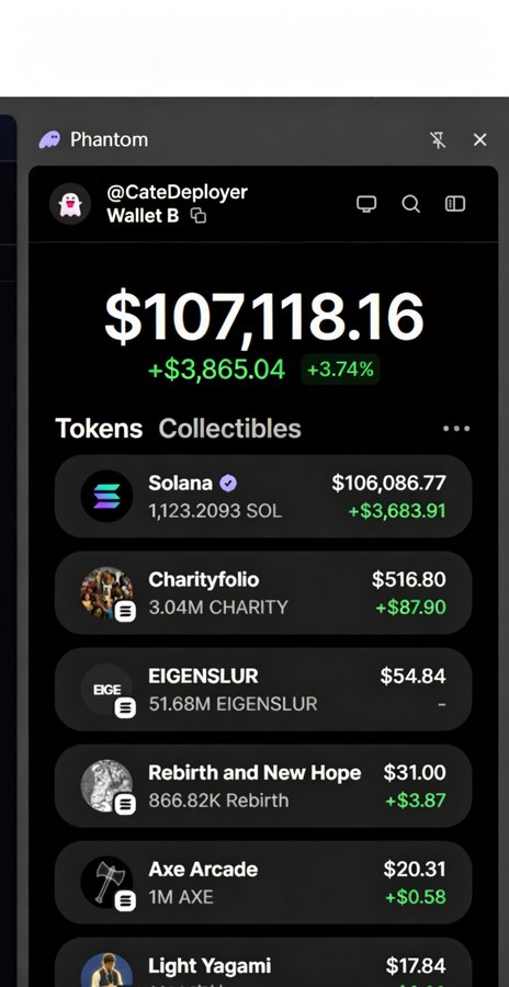 A Phantom wallet interface shows a balance of $107,118.16 for @CateDeployyer, listing tokens including Solana ($106,086.77), Charityfolio, EIGENSLUR, Rebirth and New Hope, Axe Arcade, and Light Yagami.