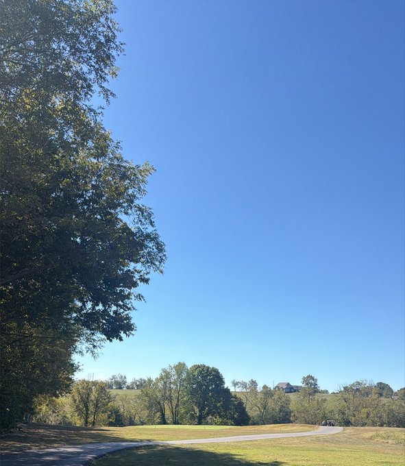A serene outdoor landscape shows a clear blue sky above a green field with scattered trees and a winding paved path in the foreground.