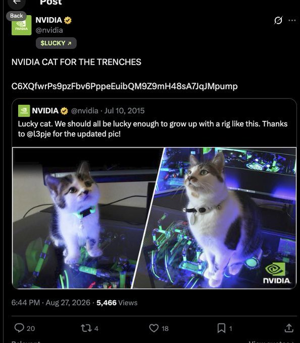 A screenshot of NVIDIA's (@nvidia) X page showing a post titled "NVIDIA CAT FOR THE TRENCHES" with a contract address and a reposted 2015 tweet featuring the company's mascot "Lucky cat" sitting on GPU hardware. The image illustrates the apparent hack mentioned, where the official NVIDIA account was compromised to promote a suspicious meme coin referencing their iconic feline mascot.
