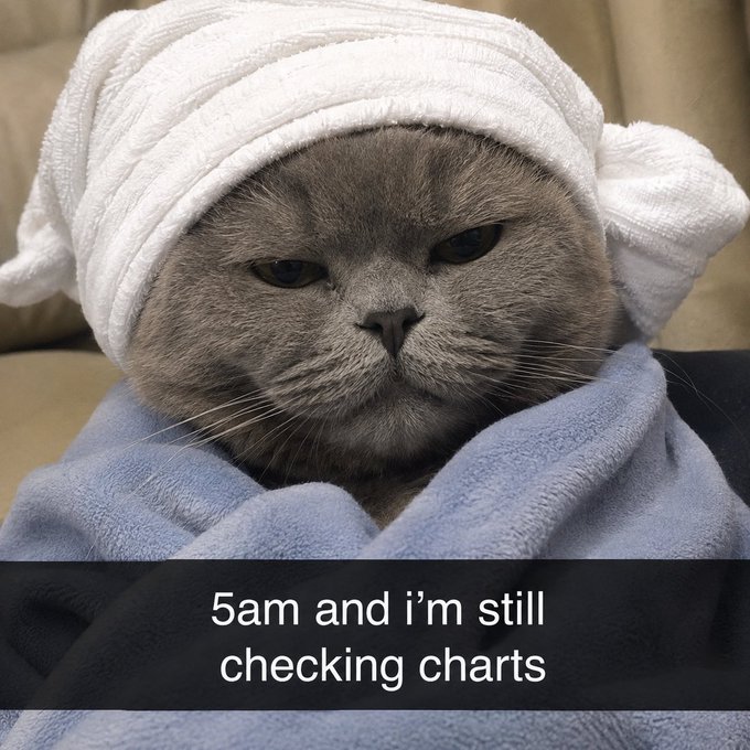 A meme of a grumpy cat wrapped in a blue towel with a towel on its head, captioned '5am and i'm still checking charts'.