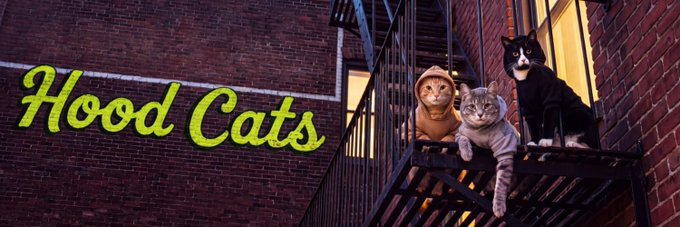 Three cats—a tabby, an orange cat in a hoodie, and a tuxedo cat—perch on a fire escape against a brick wall beside the neon yellow "Hood Cats" logo, visually introducing the $HOODCATS meme coin and its trio of hooded feline characters.