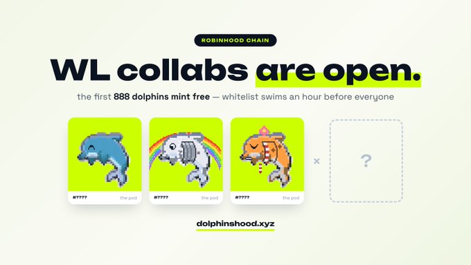 A promotional banner for "dolphinshood.xyz" on Robinhood Chain announces "WL collabs are open," offering the first 888 dolphins as a free mint with whitelist spots opening an hour early for community collaborations. The image displays three pixel-art dolphin NFTs (including a blue dolphin, a rainbow dolphin, and a clownfish) alongside a mystery fourth slot, visually supporting the call for new community partners to join the 2222 dolphin collection.
