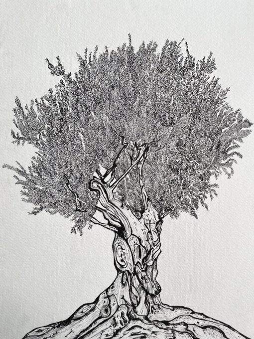 A detailed pen-and-ink illustration of an olive tree with a gnarled, twisting trunk and dense, textured foliage, created as part of an artistic Tezos community series for #TezosTuesday. The artwork aligns with the accompanying poem, which personifies the tree and invites the viewer to appreciate the beauty and patience the artist captured in the intricate line work.