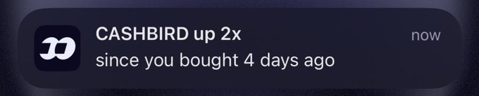 A mobile notification showing "CASHBIRD up 2x since you bought 4 days ago" with a "now" timestamp, indicating the token has doubled in value since purchase, supporting the post's claim of the token pumping to a 300K market cap.