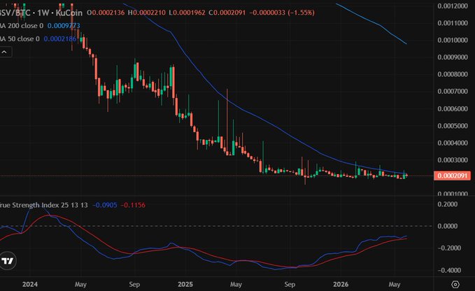 The image shows a stock market chart displaying a downward trend for BSV (Bitcoin Strength Index). A red line representing BSV's price movement is visible, with its value dropping significantly. The title of the image suggests that this is an important chart as it relates to Bitcoin trading and its current performance. The post indicates that BSV has reached or is close to reaching all time lows in a single day, which may be the subject of discussion for cryptocurrency enthusiasts.