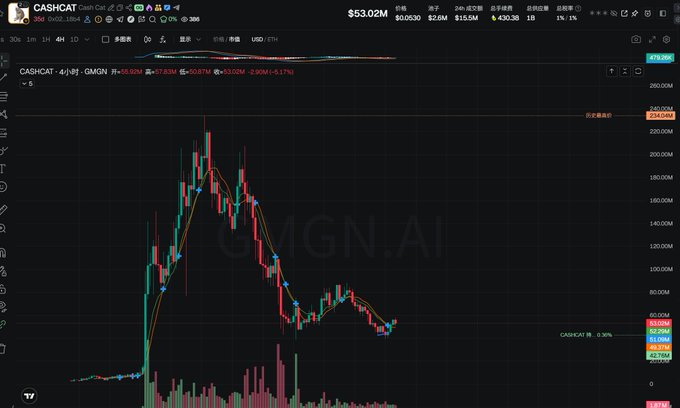 A cryptocurrency trading chart on what appears to be the GMGN.AI platform displays the CASHCAT/USDT pair priced at $53.02, showing a candlestick chart with moving averages that illustrates a significant price surge followed by a decline.