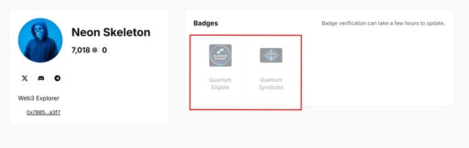 A profile page for 'Neon Skeleton' with 7,018 followers shows a Web3 Explorer title and two highlighted badges: 'Quantum Ellipse' and 'Quantum Syndicate'.
