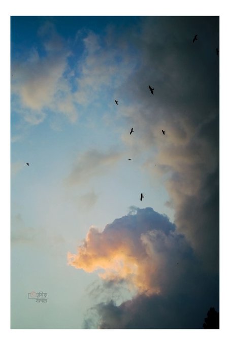A dramatic sunset sky with birds soaring among dark clouds and a glowing, sunlit cloud formation, featuring a watermark in the bottom left corner.