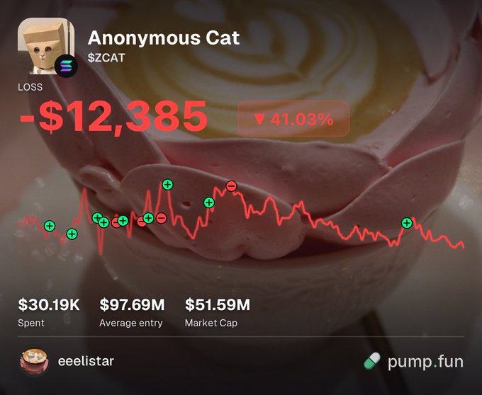 A dashboard for "Anonymous Cat ($ZCAT)" on pump.fun shows a loss of -$12,385 (▼41.03%), with $30.19K spent, $97.69M average entry, and $51.59M market cap, overlaid on an image of a cat-shaped dessert.