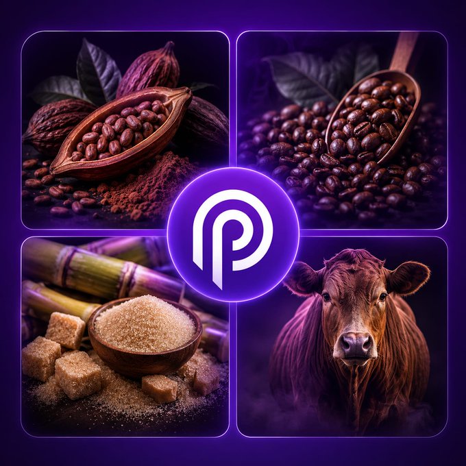 The image features a collage of four different photos, each depicting various food items such as coffee beans, sugar, cocoa, and live cattle. The first photo shows a bunch of coffee beans next to a bowl filled with sugar. The second photo displays a bowl of sugar alongside a chocolate bar. The third photo showcases a chocolate bar in front of a bowl of sugar. The fourth photo features a bowl of sugar placed on top of a chocolate bar, and a cow standing nearby.