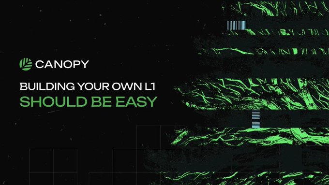 A dark promotional graphic for Canopy reads 'BUILDING YOUR OWN L1 SHOULD BE EASY' against a green and black abstract background.
