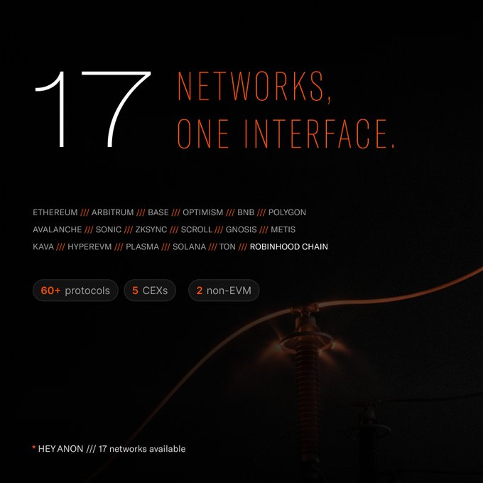 A promotional graphic for a crypto/web3 interface titled '17 NETWORKS, ONE INTERFACE' listing various blockchains including Ethereum, Arbitrum, Base, Optimism, BNB, Polygon, Avalanche, Sonic, zkSync, Scroll, Gnosis, Metis, Kava, HyperEVM, Plasma, Solana, TON, and Robinhood Chain.