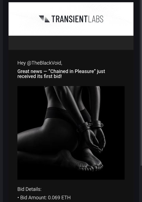 A TransientLabs notification announces that "Chained in Pleasure" has received its first bid of 0.069 ETH, illustrated by a black-and-white image of a person with handcuffed hands.