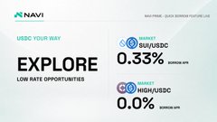 A promotional graphic for NAVI featuring USDC yields, displaying a BUY/USDC rate of 0.33% and a HIGH/USDC rate of 0.0%.