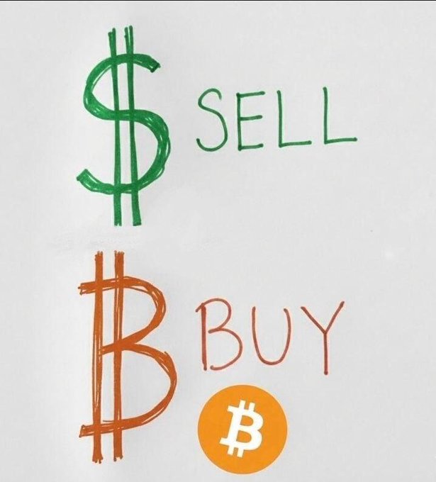 A hand-drawn whiteboard-style diagram comparing fiat and Bitcoin, showing a green dollar sign with the word 'SELL' and a red Bitcoin symbol with the word 'BUY', accompanied by an orange Bitcoin logo.