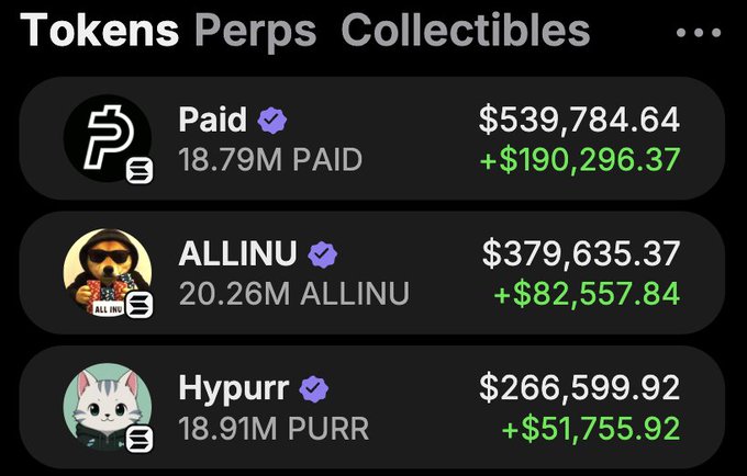 A screenshot of a token portfolio displaying 'Paid' (18.79M) at '$539,784.64', 'ALLINU' (20.26M) at '$379,635.37', and 'Hypurr' (18.91M) at '$266,599.92', all showing positive gains.