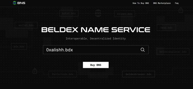 A screenshot of a website interface titled 'BELDEX NAME SERVICE' with the tagline 'Interoperable, Decentralized Identity,' featuring a search bar displaying the domain '0xalishh.bdx' and a 'Buy BNS' button on a dark background with faint domain name patterns.