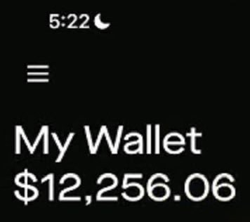 Mobile app screen showing a 'My Wallet' balance of $12,256.06 at 5:22.
