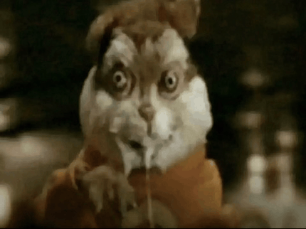 A distorted, wide-eyed cat with an intense, almost manic stare appears shocked or predatory, matching the meme's joke about people eagerly seizing on a narrative they can exploit. The unsettling, hungry expression of the cat mirrors the opportunistic "vamp" referenced in the caption.