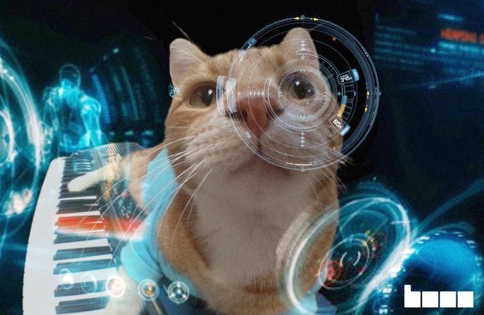Sci-fi style image of an orange and white cat wearing futuristic holographic glasses, with digital interface elements, a piano keyboard, and the 'hm' logo in the corner.