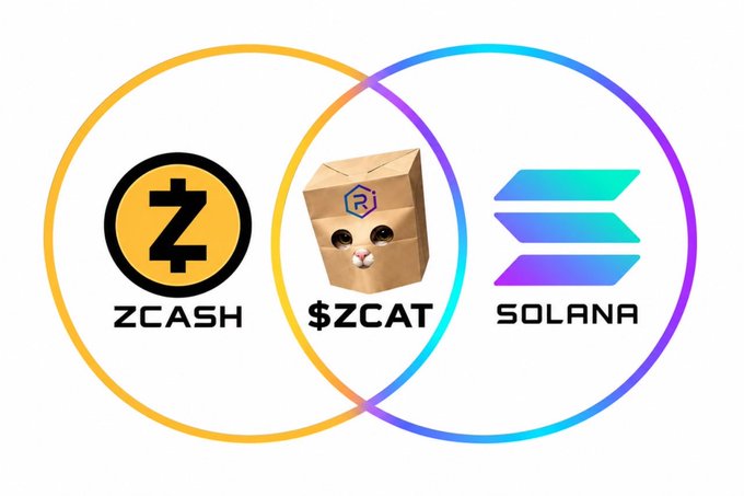 The image displays a Venn diagram featuring the ZCash logo (yellow circle with "ZCASH"), a cat-in-a-paper-bag mascot labeled "$ZCAT," and the Solana logo (gradient purple/teal symbol with "SOLANA"), illustrating the intersection between the ZCash and Solana communities. The overlapping $ZCAT symbol in the center emphasizes the project's connection between both blockchain ecosystems, reinforcing the post's message that it's more than just a memecoin—it's bridging two major crypto communities.