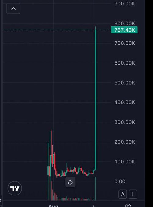 A candlestick chart shows a sudden dramatic price spike to 767.43K around August 7, with relatively flat trading before that. The chart likely illustrates the volatile, pump-style price action characteristic of memecoins, visually supporting the claim of having found "the next 100x memecoin."
