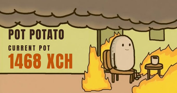 A cartoon illustration features a potato character sitting calmly in a chair surrounded by flames, with text reading 'POT POTATO CURRENT POT 1468 XCH'.
