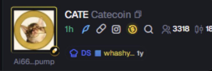 A cryptocurrency listing for 'CATE Catecoin' on a platform, showing an Ai66..pump token with 3318 holders and various social/web links.