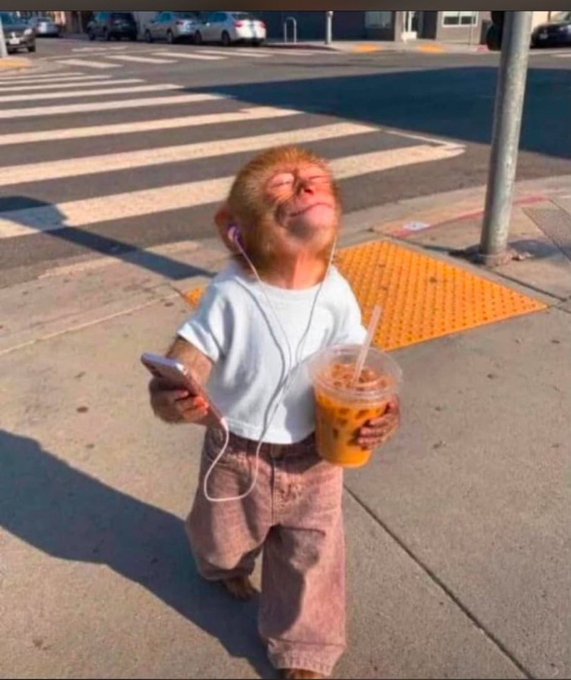 A young monkey wearing a white t-shirt and shorts stands on a sidewalk, holding a phone and a plastic cup of iced coffee with a happy expression.