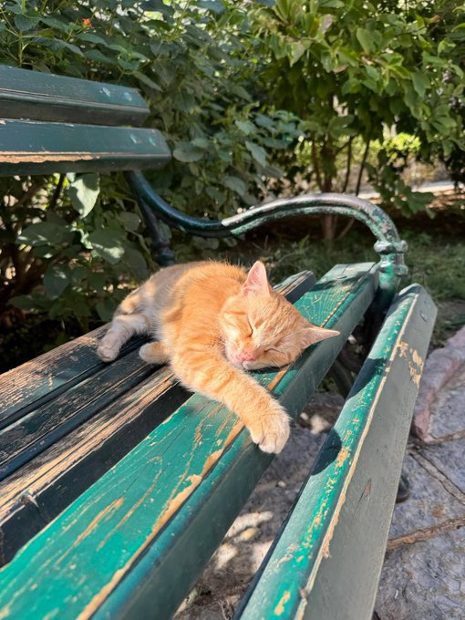 An orange tabby cat sleeps peacefully with its paw dangling off a weathered green wooden park bench.
