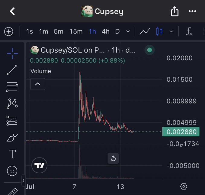 A TradingView chart displays the "Cupsey/SOL" token on a 1-hour timeframe, showing a price of 0.002880 with a modest +0.88% gain, following a sharp spike and subsequent steady decline from a high near 0.02000 down to current levels around 0.004999. The chart visualizes the post's thesis that the token is "nearing the bottom" after its post-launch pump and crash, supporting the author's decision to continue holding.