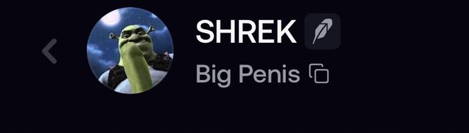 A social media profile showing an image of Shrek with the display name 'SHREK' and username 'Big Penis'.