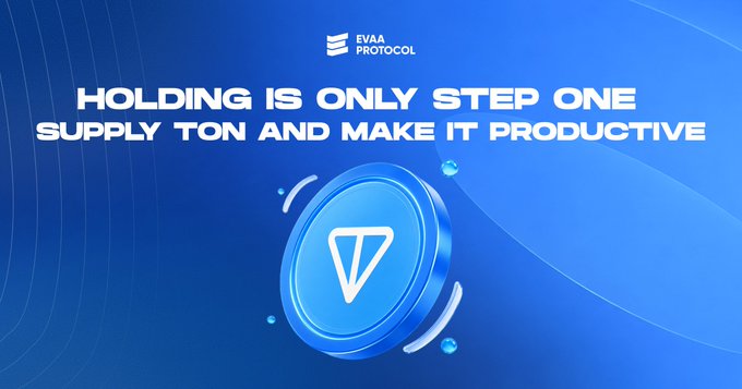 The image features a blue coin with a white triangle on it, which is the main visual element of the poster. The text "holding is only step one supply ton and make it productive" is written below the coin. This suggests that the coin can be used as an investment or a means to earn money through trading. The post also mentions that some TON holders have been holding for years without earning any money, which implies that there might be a misconception about how TONs work in this context.