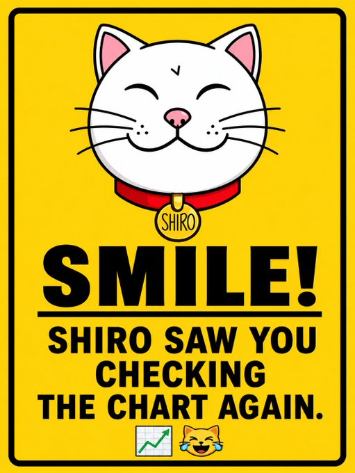 A cheerful cartoon white cat named Shiro wearing a red collar with a "SHIRO" tag appears on a yellow sign reading "SMILE! SHIRO SAW YOU CHECKING THE CHART AGAIN," playfully illustrating the post's joke about obsessively monitoring the Cat Market memecoin charts.