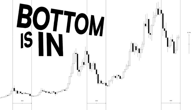 A bold, slanted "BOTTOM IS IN" headline dominates the upper left of a black-and-white candlestick chart showing Bitcoin's price action across multiple time frames. The chart visually supports the accompanying post's claim that $BTC has established a bottom, displaying the characteristic dip and recovery pattern that the author argues marks a market reversal.