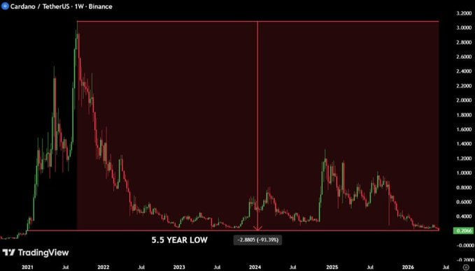The image shows a chart displaying the price fluctuations of Bitcoin over five years. The chart is primarily colored in red, with green lines indicating the rise or fall of the value of Bitcoin during each year. It demonstrates the changing trends and patterns within the cryptocurrency market.